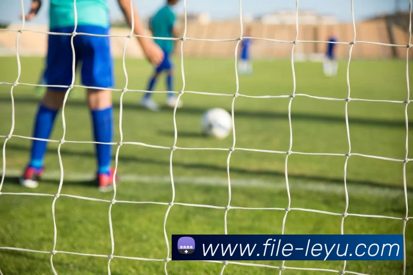 多媒体互动体验